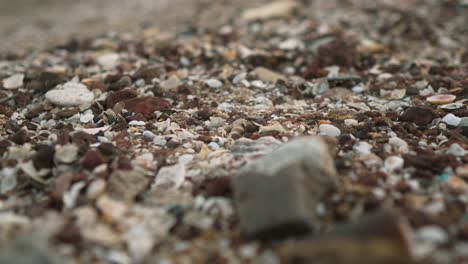 close-up-view-of-a-rocky-beach-covered-with-a-mixture-of-shells,-pebbles,-and-small-rocks