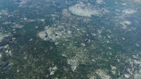 Drone-slowly-panning-along-green-coral-reef-pattern-in-Uluwatu-Bali-Indonesia