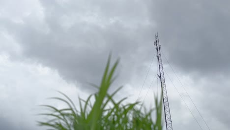 Toma-De-ángulo-Bajo-De-Telecomunicaciones,-Redes,-Torre-Con-Un-Trozo-De-Hierba-En-Primer-Plano