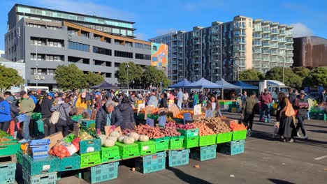 Menschen-Kaufen-Frisches-Obst-Und-Gemüse-An-Marktständen-In-Der-Hauptstadt-Wellington,-Neuseeland-Aotearoa