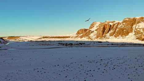 Drone-flight-reveals-condor-gliding-over-Rio-de-las-Vueltas,-Patagonia,-Argentina