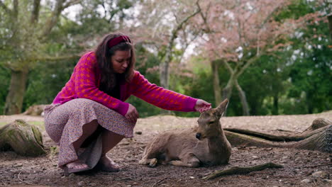 Hermosa-Mujer-Acariciando-Al-Lindo-Ciervo-En-El-Parque-Nara-En-Japón