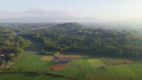 Aerial-view-of-Borobudur-Temple-surrounded-by-rice-fields-and-jungle