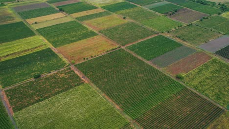 4K:-Drone-capturing-the-lush-green-fields-of-the-eastern-region-of-Georgia