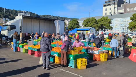 Gente-Comprando-Frutas-Y-Verduras-Frescas-En-El-Mercado-De-Fin-De-Semana-En-La-Ciudad-Capital-De-Wellington,-Nueva-Zelanda-Aotearoa