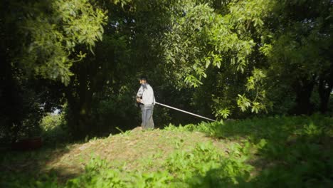 Espectáculo-En-Cámara-Lenta-De-Un-Agricultor-De-Aguacate-Cosechando-Fruta-En-Uruapan,-Michoacán.