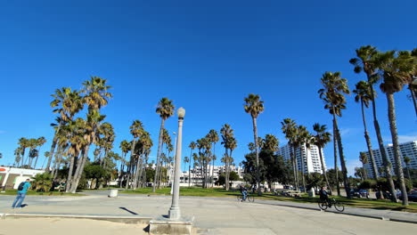 Slow-motion-landscape-view-of-bicycle-riders-on-pathway-of-Venice-Beach-Boulevard-boardwalk-with-palm-trees-Los-Angeles-City-travel-tourism-USA-America