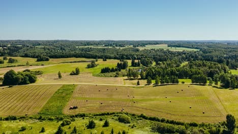 Luftaufnahme-Der-Landwirtschaft,-Hyperlapse.-Traktor-Presst-Heurollen-Zusammen