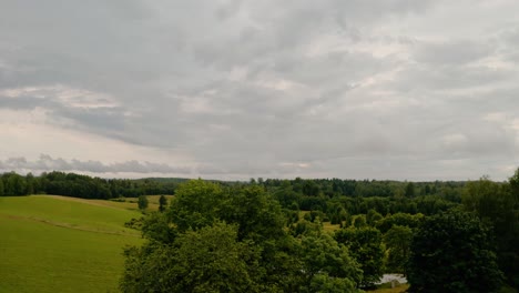 Drone-ascending-from-trees-into-open-view-of-forest-landscape