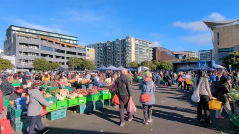 Menschen-Beim-Einkaufen-Am-Sonntags-Obst--Und-Gemüsemarkt-In-Der-Hauptstadt-Wellington,-Neuseeland-Aotearoa