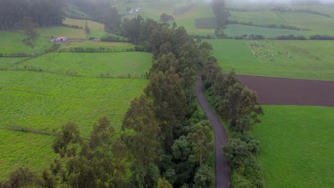 Drone-flying-above-the-road-passing-through-the-fields-divided-into-patches,-in-the-rural-area-of-Barrio-Güitig-at-the-foot-of-Rumiñahui-volcano,-Pichincha,-Ecuador