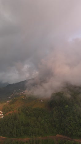 aerial-view,-vertical,-forest-and-clouds