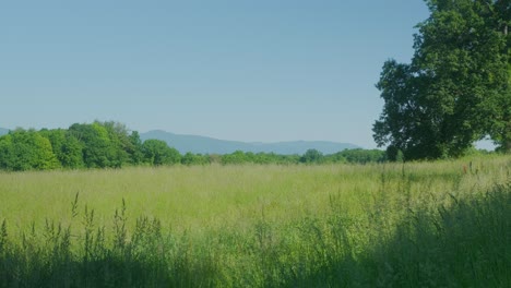 Open-green-meadow-with-mountain-view-in-the-summer-season-of-the-Hudson-Valley-in-Upstate-New-York