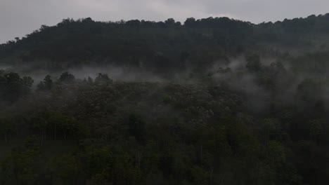 Hermosa-Y-Sorprendente-Vista-Aérea-De-Montañas-Con-Bosque-Y-Niebla