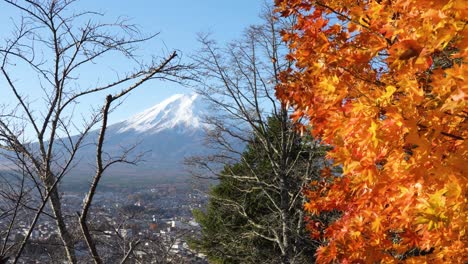 Mount-Fuji-Im-Hintergrund-Mit-Leuchtenden-Herbstblättern-Und-Einem-Klaren-Blauen-Himmel