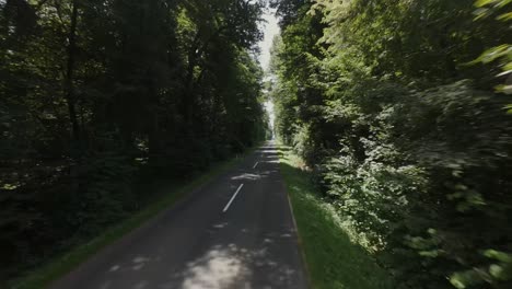 A-drone-flies-over-a-country-road,-showing-the-winding-path-through-a-dense-forest