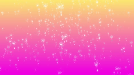 Dandelion-flower-blooms-floating-falling-from-sky-with-soft-gradient-pastel-background-visual-effects-motion-graphics-3D-dynamic-abstract-pink-yellow-light