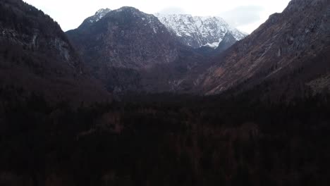 Breathtaking-mountain-forest-landscape,-flyover-aerial-shot,-snowy-peak,-Austria