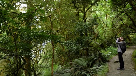 Girl-Bird-Watching-with-binoculars-in-a-rain-forest-of-New-Zealand