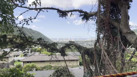 A-distinctive-clip-showcasing-a-vibrant,-hand-decorated-structure-framing-a-picturesque-view-of-Honolulu's-skyline-through-the-branches-of-lush-greenery