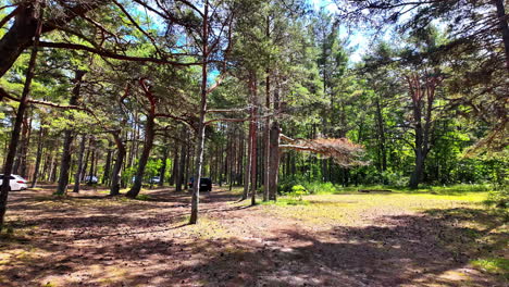 Camping-ground-forest-outside-capital-city-Tallinn,-Estonia-in-the-summer