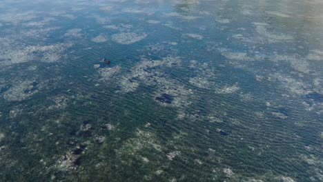 Low-angle-drone-shot-panning-around-low-tide-reef-and-waves-in-Uluwatu-Bali-Indonesia