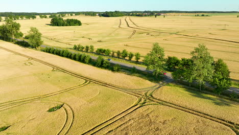 Toma-Aérea-De-Campos-De-Trigo-Dorados-Con-Huellas-De-Neumáticos-Y-Un-Automóvil-Rojo-Conduciendo-Por-Una-Carretera-Arbolada,-Capturando-La-Extensión-Del-Paisaje-Rural