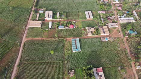 Contemporary-African-countryside-developing-modern-agriculture,-Loitokitok,-Kenya,-aerial-view