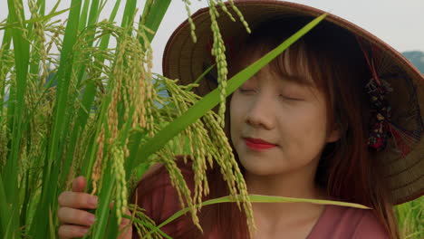 close-up-of-asiatic-farmer-woman-wearing-bamboo-chinese-hat-smelling-rice-crop-In-a-plantation