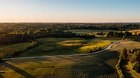 Aerial-over-countryside-forest-in-late-sunset