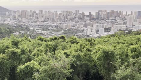 A-unique-perspective-of-Honolulu,-showcasing-the-contrast-between-lush-green-foliage-in-the-foreground-and-the-bustling-cityscape-in-the-background