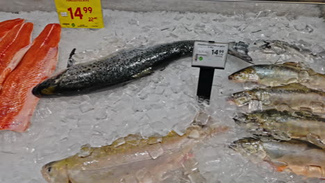 Frozen-fish-counter-offers-pristine-seafood-with-detailed-labeling-and-cold-preserved-freshness