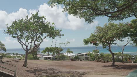 Ein-Blick-Auf-Einen-Minipark-Mit-Bäumen-In-Oahu,-Hawaii