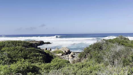 A-stunning-view-of-waves-crashing-against-the-rocky-shoreline-with-lush-greenery-in-the-foreground-on-the-island-of-Oahu