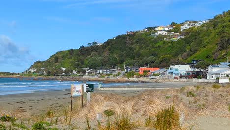 Casas-Residenciales-De-Nueva-Zelanda-En-La-Costa-Con-Vistas-Al-Océano-Y-A-La-Playa-De-La-Bahía-De-Lyall-En-Wellington,-Nueva-Zelanda-Aotearoa