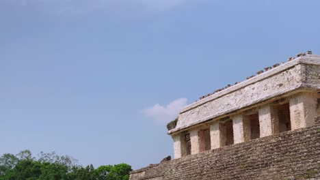 Panning-shot-of-The-great-palace-and-observatory-tower-at-Palenque-Chiapas-Mexico-Maya-culture-blue-sky-day-time