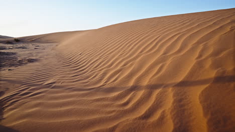 Golden-sand-dunes-with-ripples-under-a-clear-sky-at-sunset