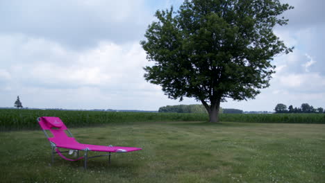 Pink-Lawn-Chair-Rests-in-Field-with-Large-Tree-Near-Farm