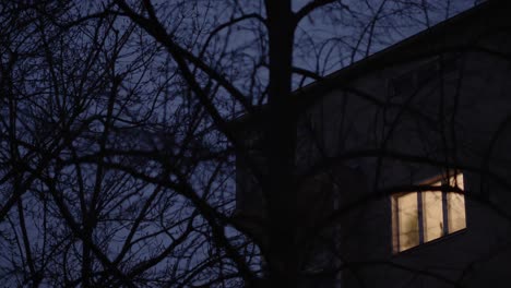 Ventana-Brillante-De-Una-Casa-Por-La-Noche-Con-Siluetas-De-árboles