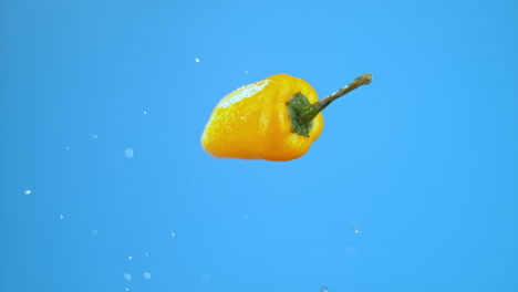 Single-yellow-chili-bell-peppers-flying-mid-air-with-water-droplets,-fresh-vegetables-for-cooking