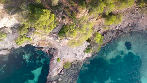 Luftaufnahme-Von-Oben-Nach-Unten-über-Die-Türkisfarbene-Wasserlagune-In-Der-Nähe-Der-Cova-De-Portals-Vells