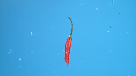 Sigle-red-hot-chili-pepper-flying-up,-flipping,-splashing-water