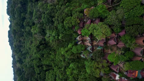 VERTICAL,-Terraced-Raws-of-Hillside-Bungalows-in-Lush-Tropical-Jungle,-Drone-View