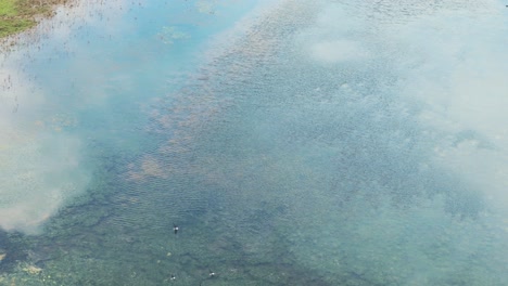 Flock-of-black-birds-flying-low-over-a-lagoon-with-clear-waters-on-a-beautiful-morning