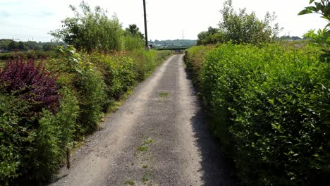 Narrow-dirt-track-road-between-dense-countryside-hedge-boundary-moving-forward