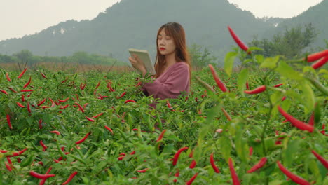 Joven-Agricultora-Asiática-Comprobando-La-Plantación-Picante-De-Ají-Rojo-Picante-Con-Cuaderno-Y-Bolígrafo.