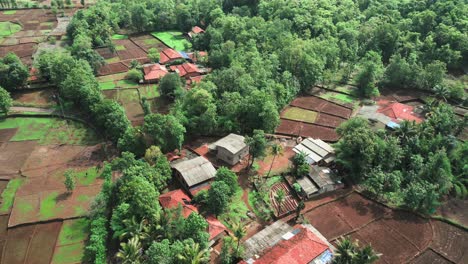 Pequeño-Pueblo-En-Un-Bosque-Verde-A-Vista-De-Pájaro-En-Konkan