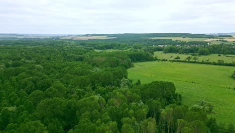 Giverny-forest,-France.-Aerial-forward