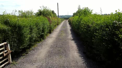 Narrow-dirt-track-road-between-dense-countryside-hedge-boundary-moving-backwards