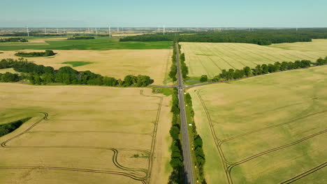 Aerial-shot-of-intersecting-roads-amidst-vast-wheat-fields,-with-a-line-of-trees-marking-the-boundaries,-under-a-clear-blue-sky